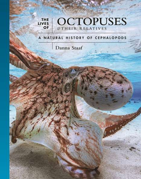 Danna Staaf: The Lives of Octopuses and Their Relatives, Buch