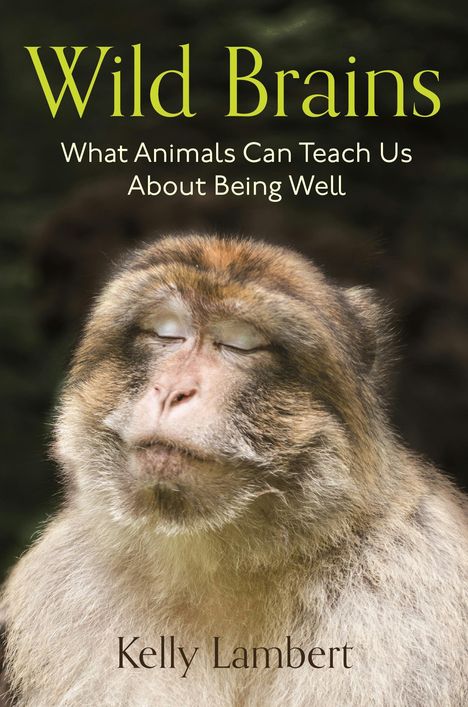 Text: "Wild Brains: What Animals Can Teach Us About Being Well" von Kelly Lambert. Ein Affe mit geschlossenen Augen.