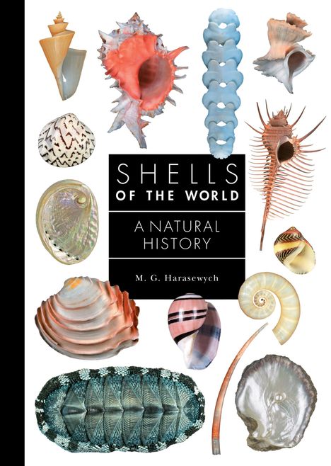 M G Harasewych: Shells of the World, Buch