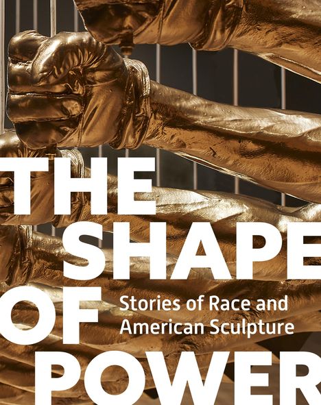 Karen Lemmey: The Shape of Power, Buch