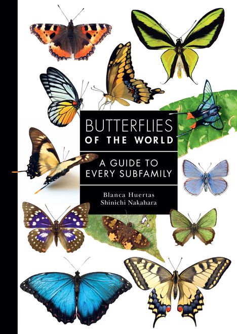 Blanca Huertas: Butterflies of the World, Buch