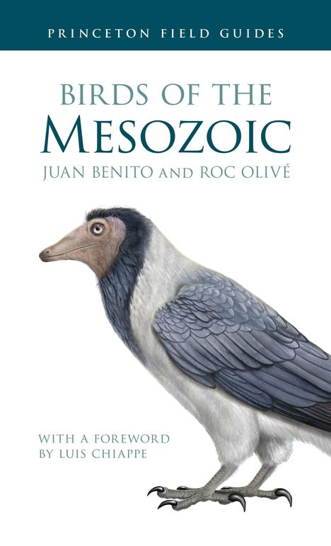 Juan Benito: Birds of the Mesozoic, Buch