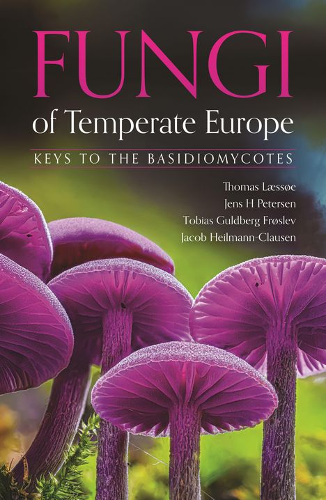 "FUNGI of Temperate Europe, Keys to the Basidiomycotes". Violette Pilze auf grünem Hintergrund.