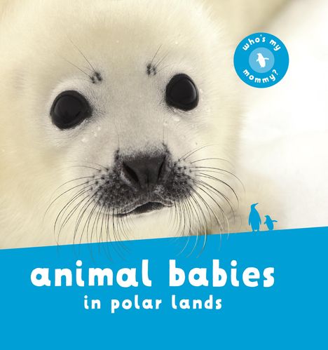 Kingfisher Books: Animal Babies in Polar Lands, Buch