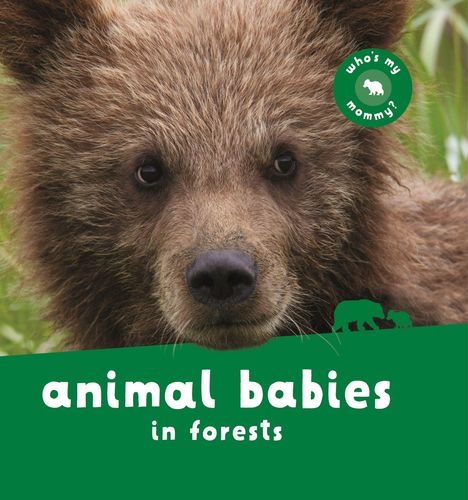 Kingfisher Books: Animal Babies in Forests, Buch