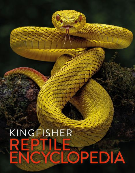 Text: "Kingfisher Reptile Encyclopedia." Eine gelbe Schlange mit rotem Schimmer, die auf einem Ast ruht.