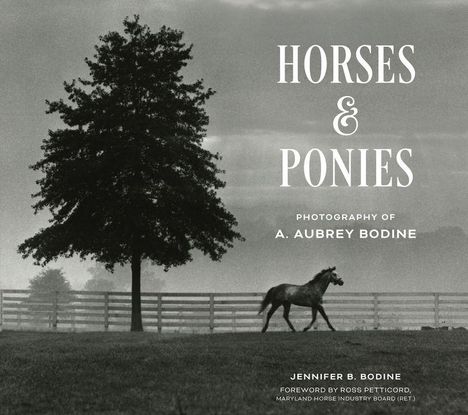 Text: "Horses & Ponies. Photography of A. Aubrey Bodine. Jennifer B. Bodine. Foreword by Ross Peddicord." Ein Baum und ein Pferd.