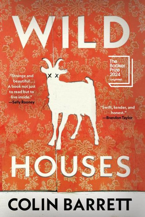 Colin Barrett: Wild Houses, Buch