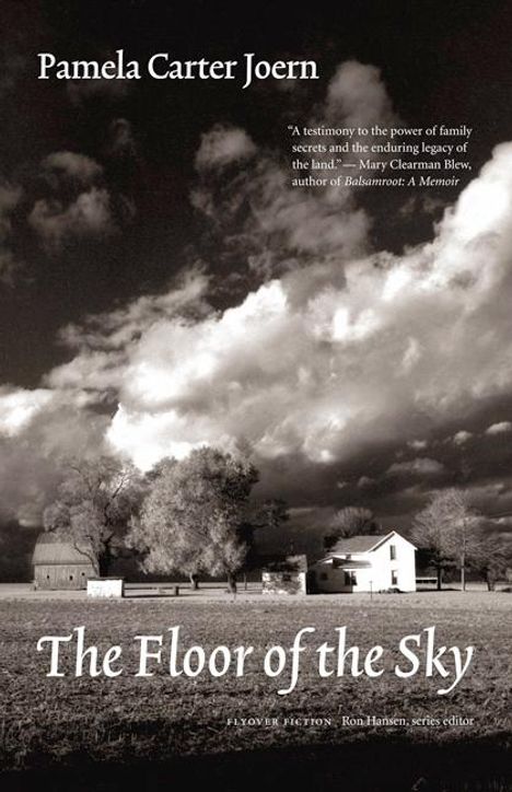 Pamela Carter Joern: The Floor of the Sky, Buch