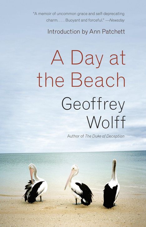 Geoffrey Wolff: A Day at the Beach, Buch
