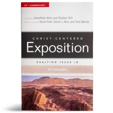 „Christ-Centered Exposition: Exalting Jesus in Numbers“ Autoren: Jonathan Akin, Peyton Hill. Landschaftsfoto unten.