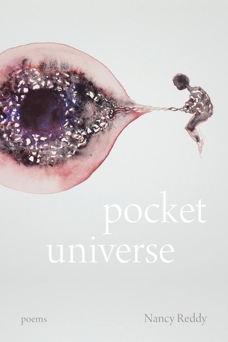 Nancy Reddy: Pocket Universe, Buch