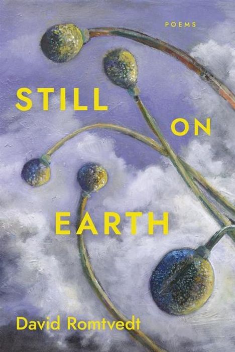 David Romtvedt: Still on Earth, Buch