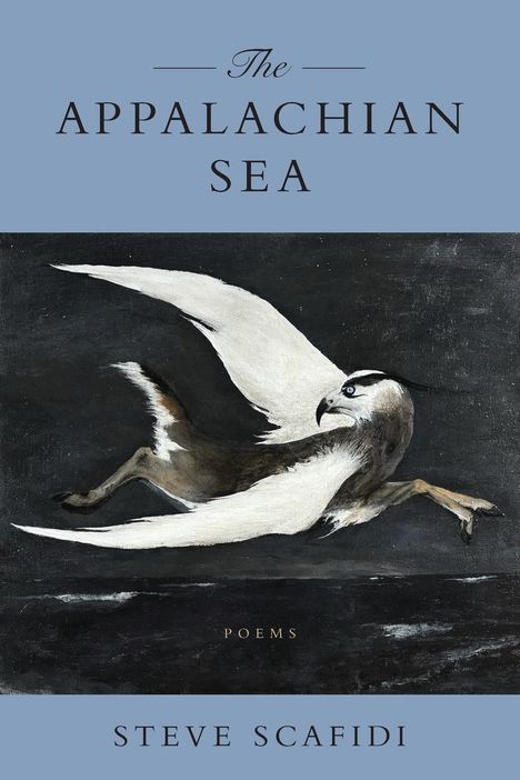 Steve Scafidi: The Appalachian Sea, Buch
