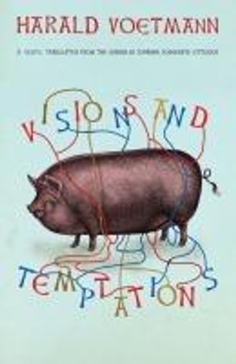 Harald Voetmann: Visions and Temptations, Buch