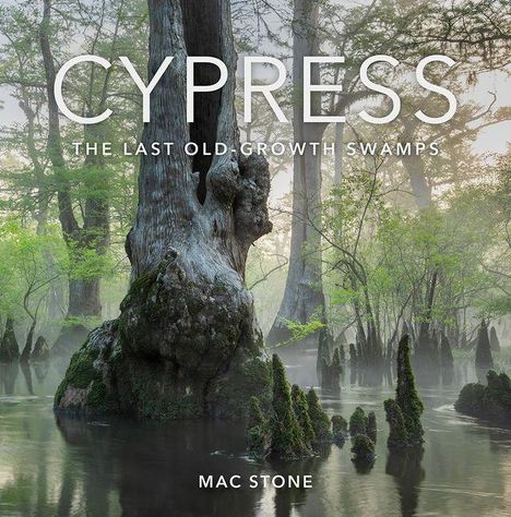 Text: "CYPRESS: THE LAST OLD-GROWTH SWAMPS MAC STONE."  
Großer Zypressenbaum in mystischem, moorigem Wald.
