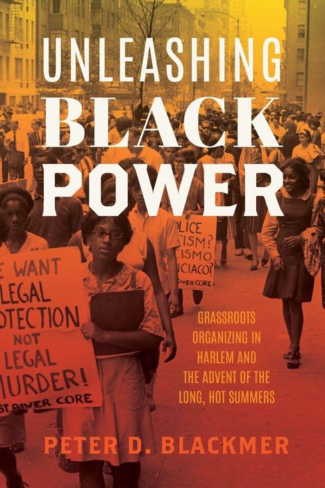Peter D Blackmer: Unleashing Black Power, Buch