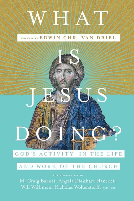 Edwin Chr. van Driel: What Is Jesus Doing?, Buch