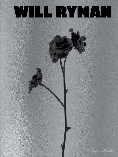 "Will Ryman" steht oben. Eine dunkle, plastische Rose auf rauem grauem Hintergrund.