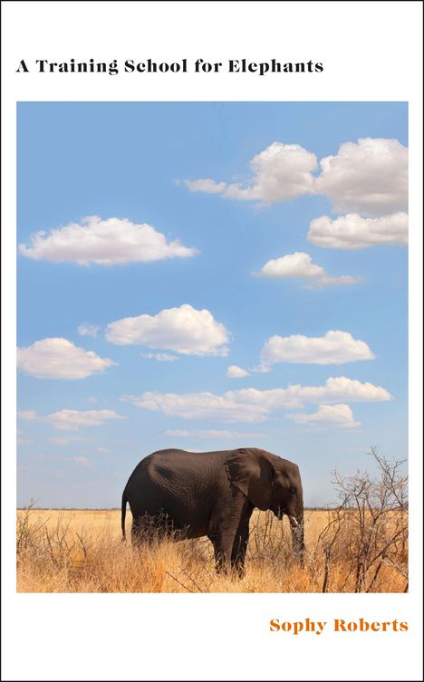 Sophy Roberts: A Training School for Elephants, Buch