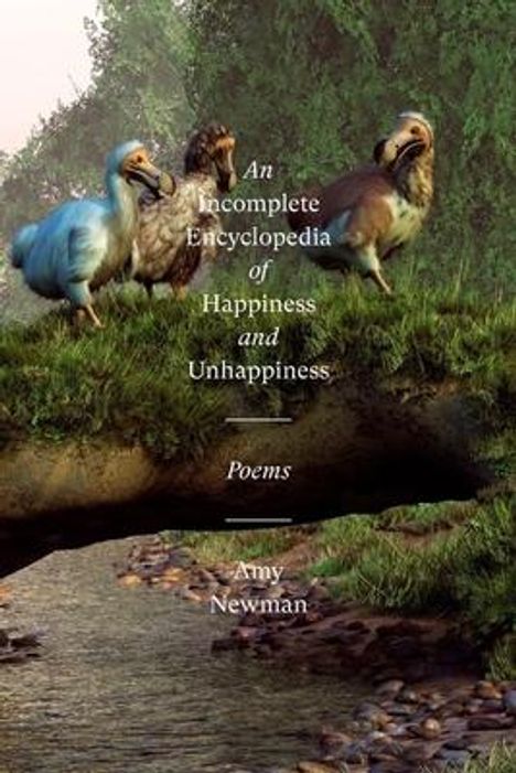 Amy Newman: An Incomplete Encyclopedia of Happiness and Unhappiness, Buch