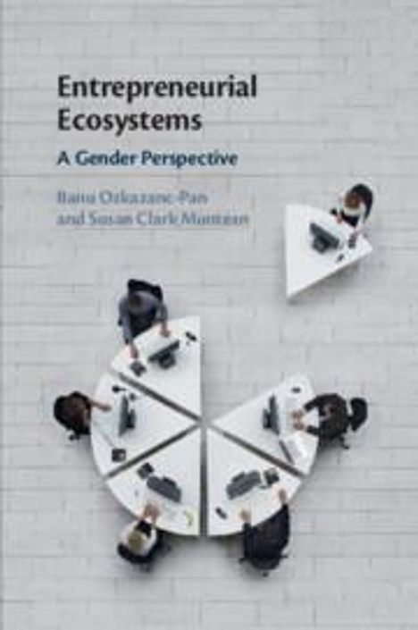 Banu Ozkazanc-Pan: Entrepreneurial Ecosystems, Buch