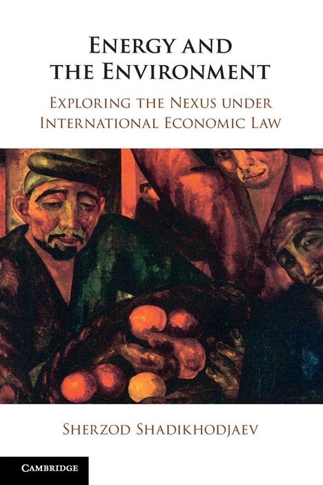 Sherzod Shadikhodjaev: Energy and the Environment, Buch