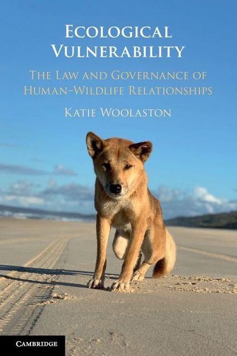 "Ecological Vulnerability: The Law and Governance of Human-Wildlife Relationships" von Katie Woolaston. Hund auf Sandstrand.