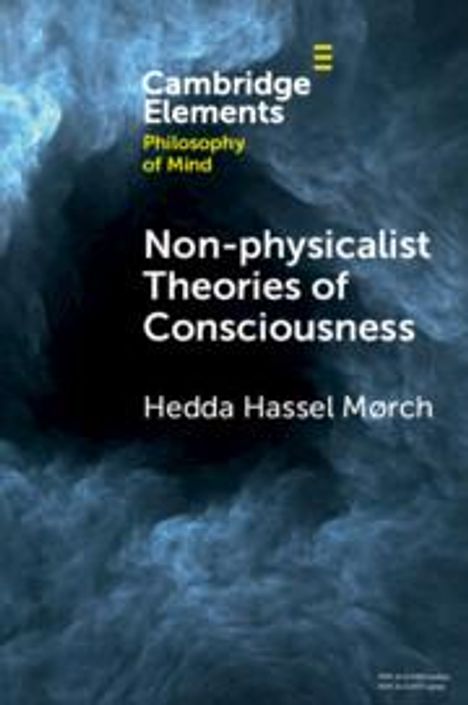 Hedda Hassel Mørch: Non-Physicalist Theories of Consciousness, Buch