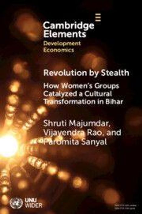 Oben steht "Cambridge Elements Development Economics". Titel: "Revolution by Stealth". Hintergrund aus Lichtstrahlen.
