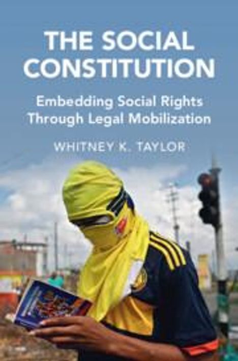 Whitney K. Taylor: The Social Constitution, Buch