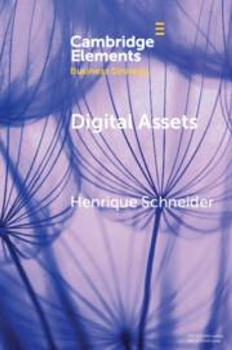 Henrique Schneider: Digital Assets, Buch