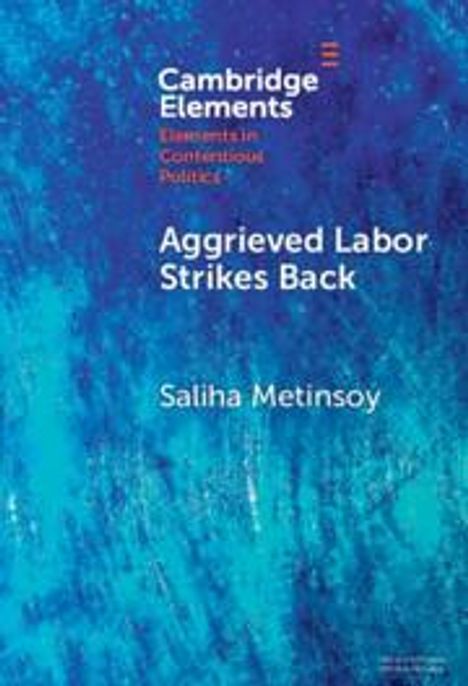 Saliha Metinsoy: Aggrieved Labor Strikes Back, Buch