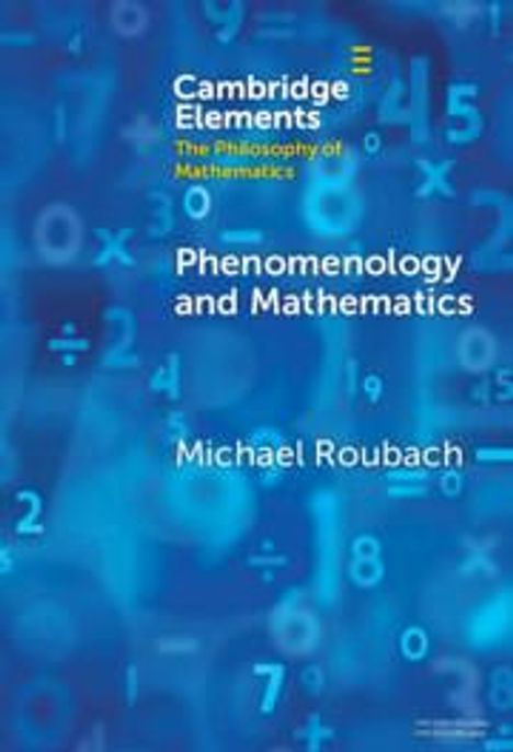 Michael Roubach: Phenomenology and Mathematics, Buch