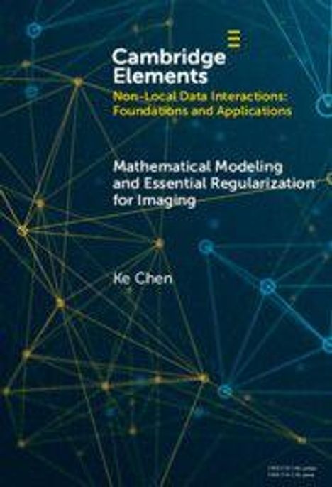 "Cambridge Elements: Non-Local Data Interactions" über Netzwerke aus gelben und blauen Linienpunkten.