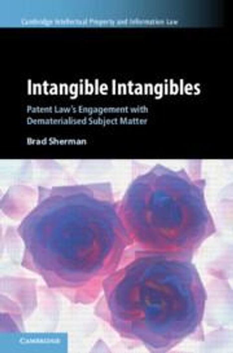 Brad Sherman: Intangible Intangibles, Buch