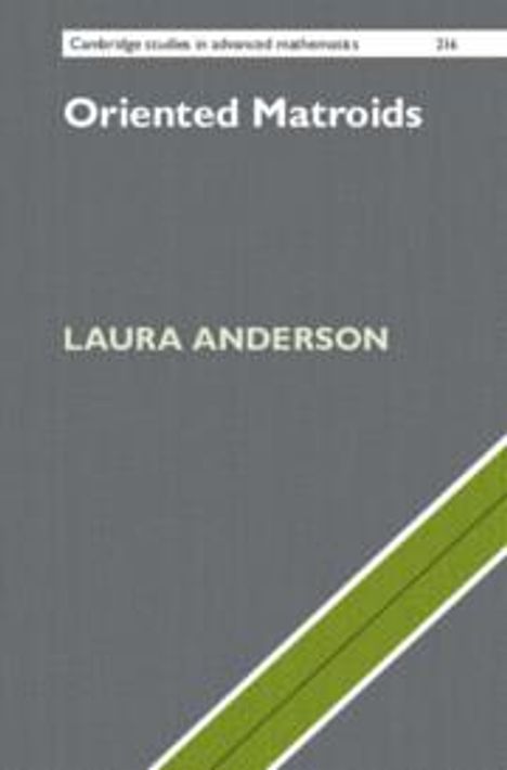 Laura Anderson: Oriented Matroids, Buch