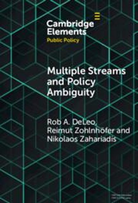 Rob A DeLeo: Multiple Streams and Policy Ambiguity, Buch