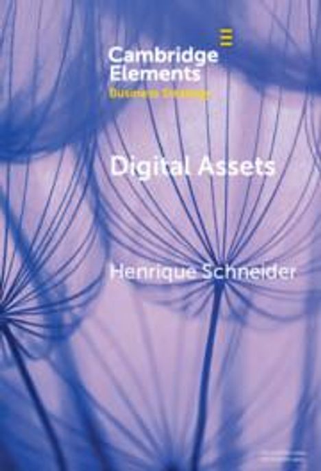 Henrique Schneider: Digital Assets, Buch