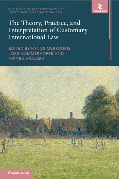 The Theory, Practice, and Interpretation of Customary International Law, Buch