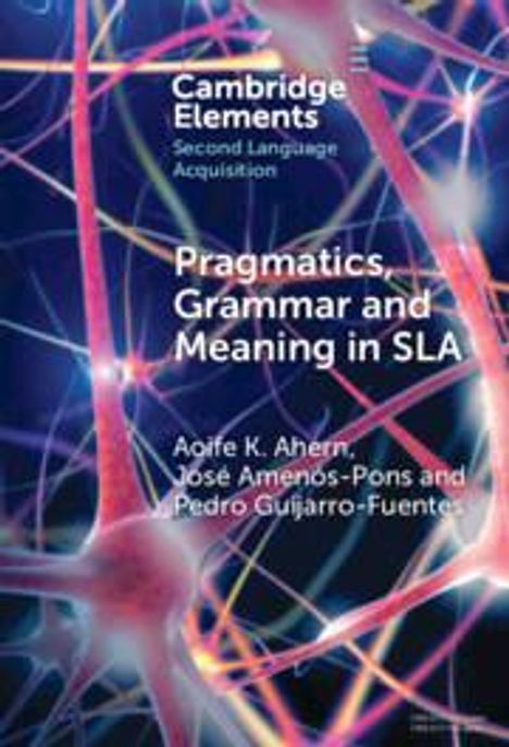 Aoife K Ahern: Pragmatics, Grammar and Meaning in Sla, Buch