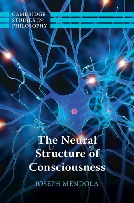 Joseph Mendola: The Neural Structure of Consciousness, Buch