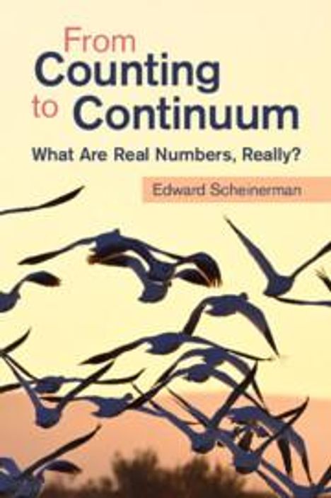 Edward Scheinerman: From Counting to Continuum, Buch