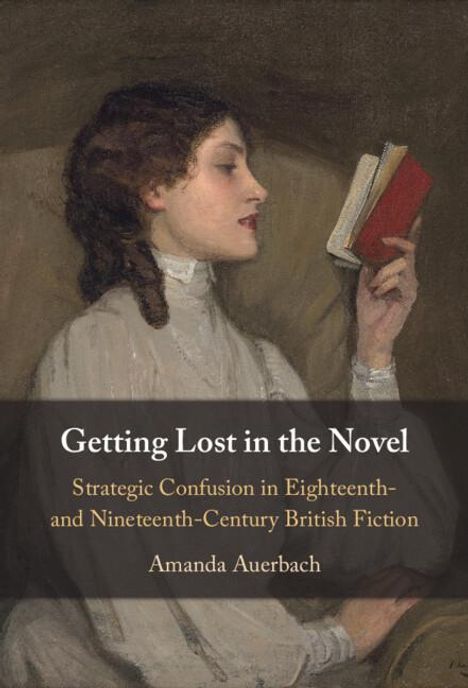 Amanda Auerbach: Getting Lost in the Novel, Buch