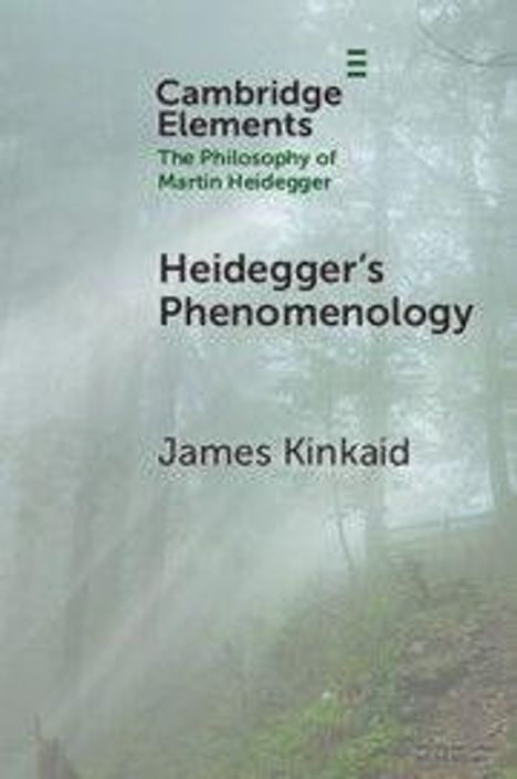 "Heidegger's Phenomenology" von James Kinkaid. Im Hintergrund ein nebeliger Wald.