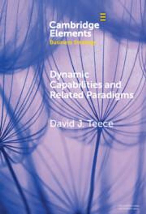 David J. Teece: Dynamic Capabilities and Related Paradigms, Buch