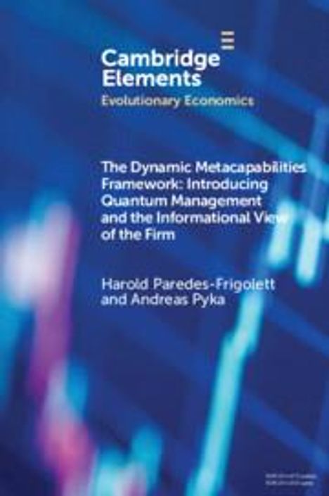 Andreas Pyka: The Dynamic Metacapabilities Framework, Buch