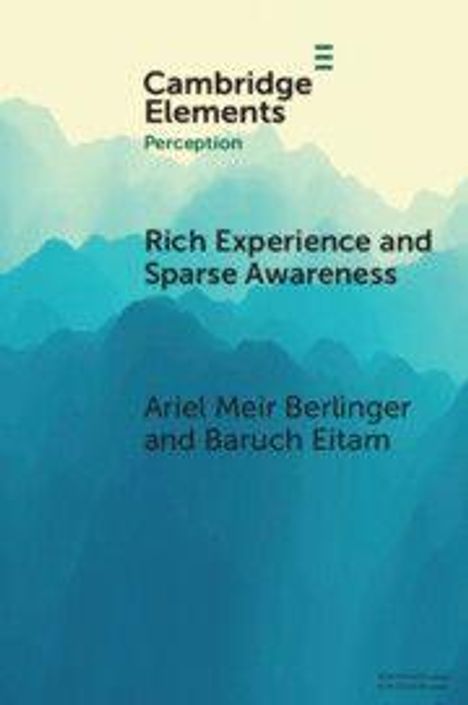 Text: "Cambridge Elements Perception. Rich Experience and Sparse Awareness. Ariel Meir Berlinger and Baruch Eitam." Hintergrund: Blaue Berge.