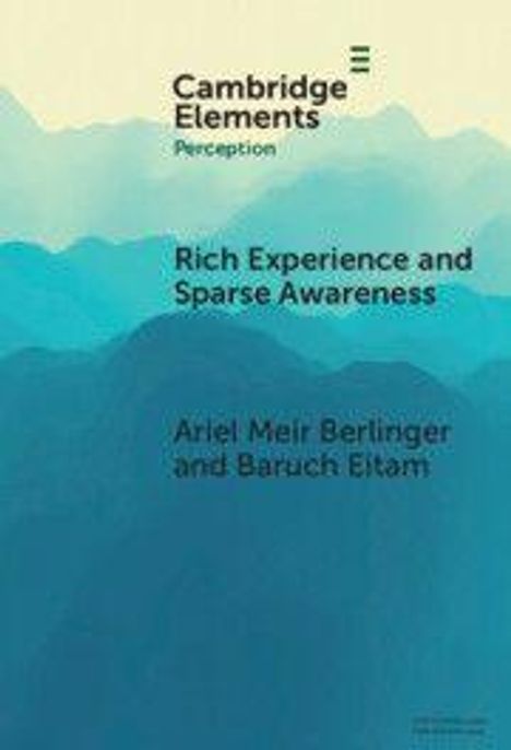 "Cambridge Elements: Perception. Rich Experience and Sparse Awareness. Ariel Meir Berlinger and Baruch Eitam." Türkisfarbene Berge.