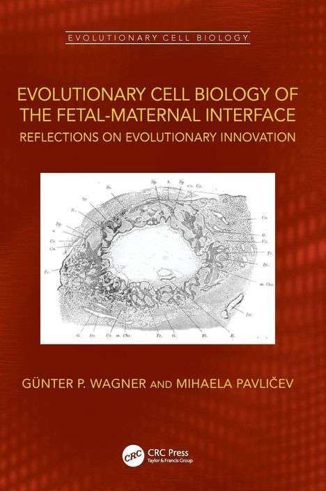 Titel: "Evolutionary Cell Biology of the Fetal-Maternal Interface". Illustration einer Zellstruktur.